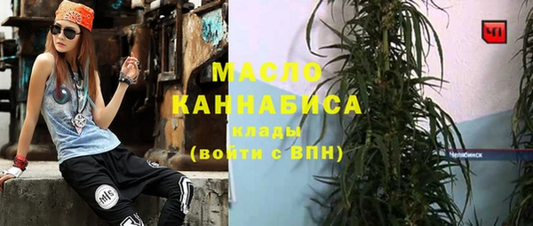 гашиш Богданович