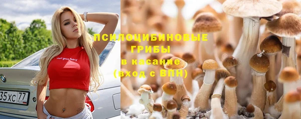 экстази Щёлкино