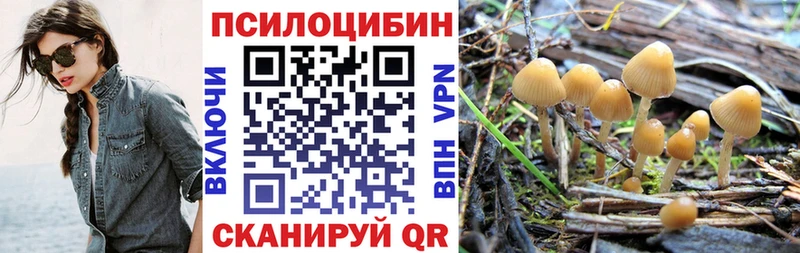 Галлюциногенные грибы GOLDEN TEACHER  Курильск 
