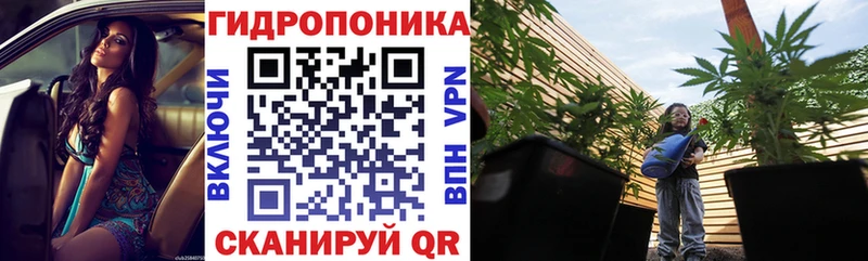 закладки  Курильск  darknet как зайти  Бошки Шишки LSD WEED 